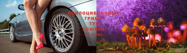прущий лед Гусиноозёрск