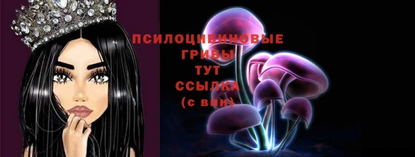 прущая мука Гусев