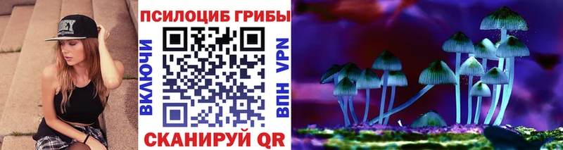 Галлюциногенные грибы прущие грибы  Купить  Кузнецк 